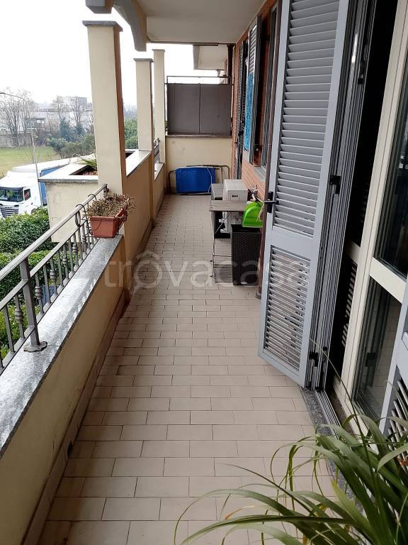 immagine annuncio 8 di 11