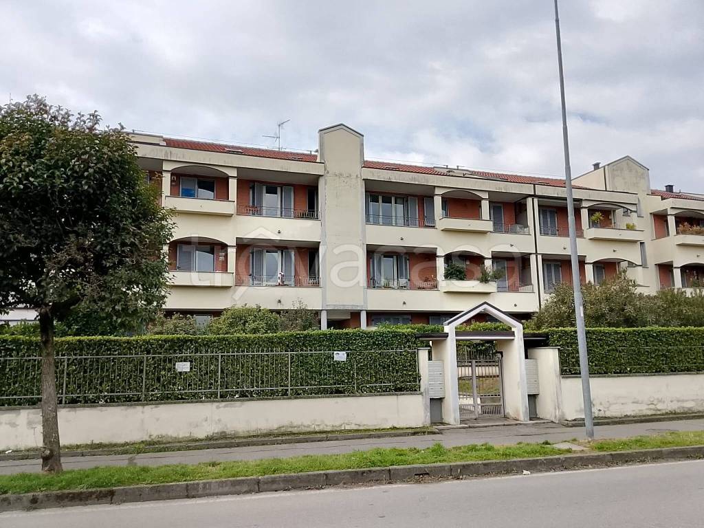 immagine annuncio 9 di 11