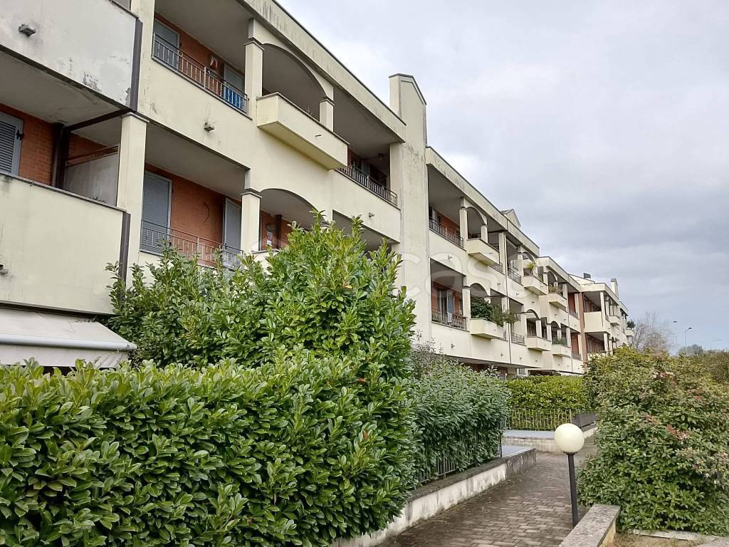 immagine annuncio 10 di 11