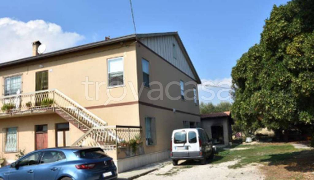 immagine annuncio 6 di 11