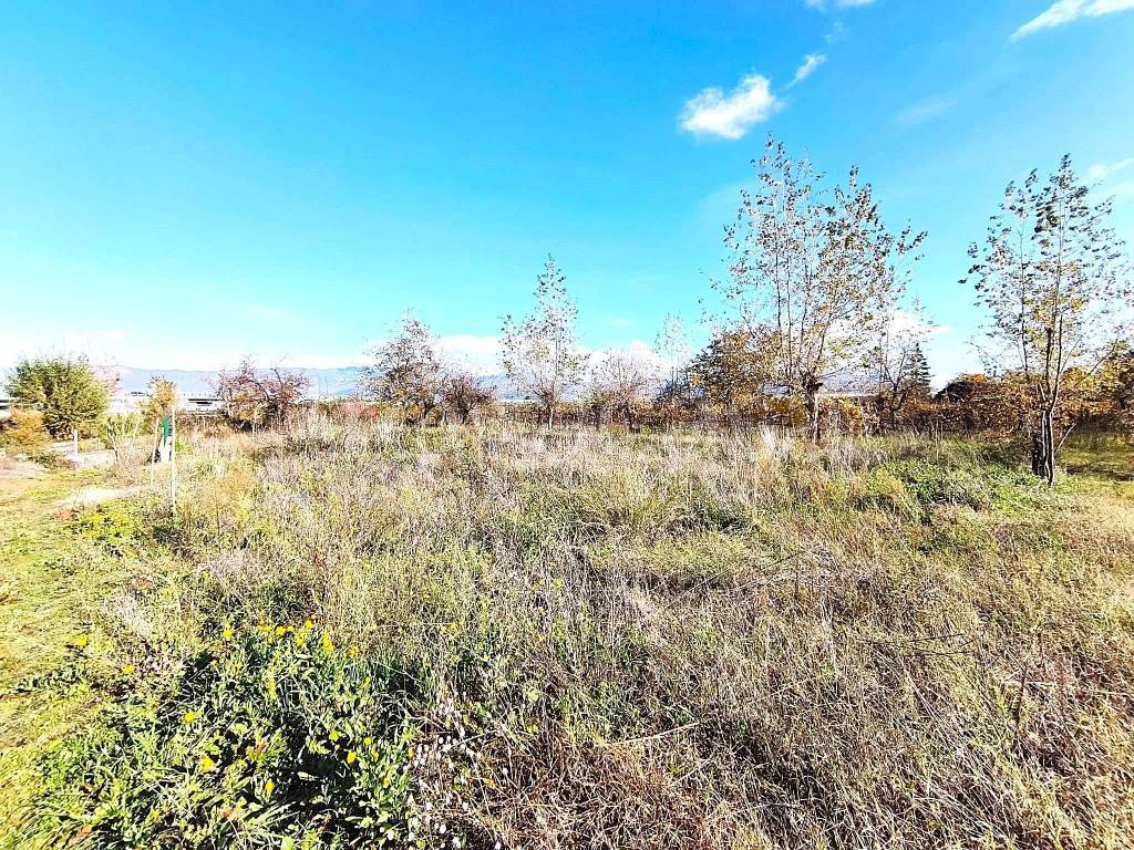 immagine annuncio 4 di 13