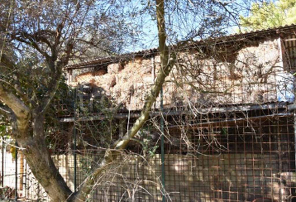 immagine annuncio 8 di 11