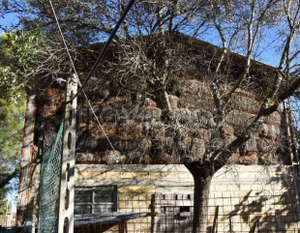 immagine annuncio 9 di 11