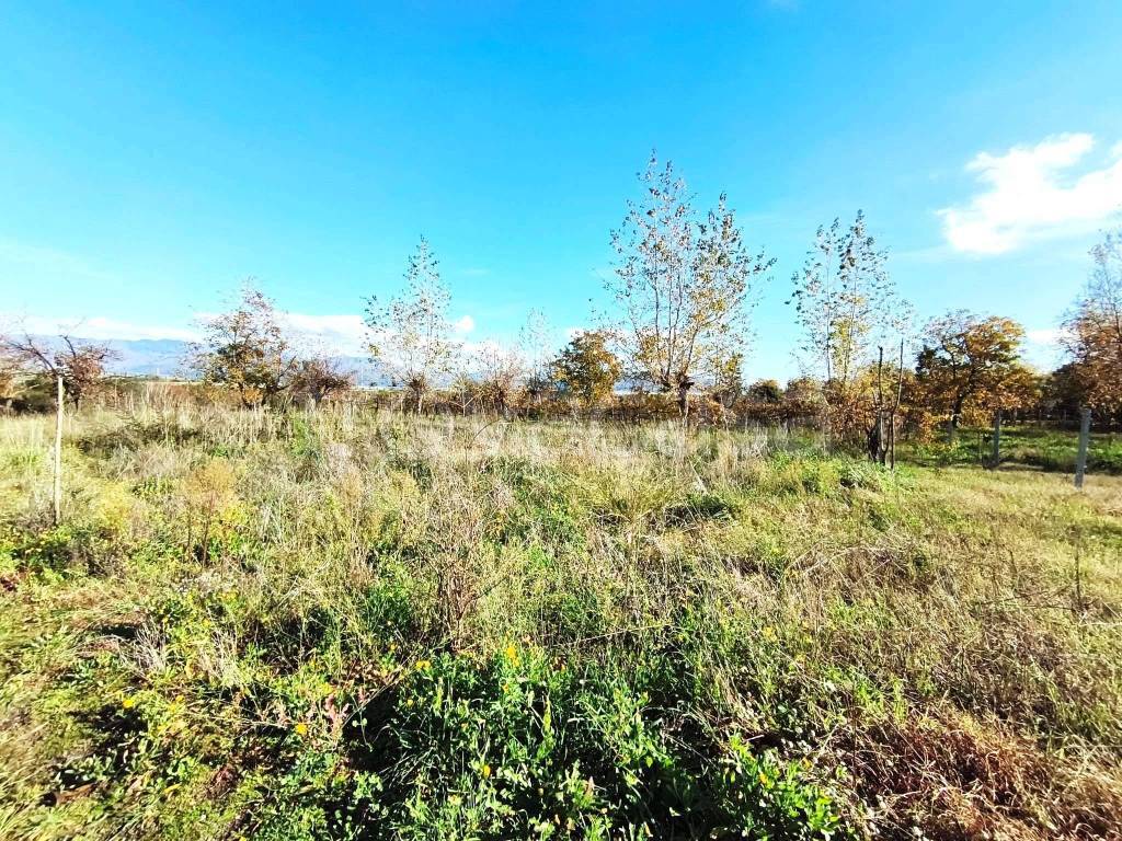 immagine annuncio 10 di 13