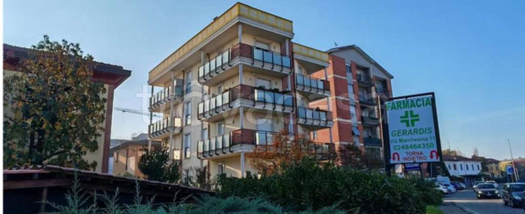 immagine annuncio 3 di 11