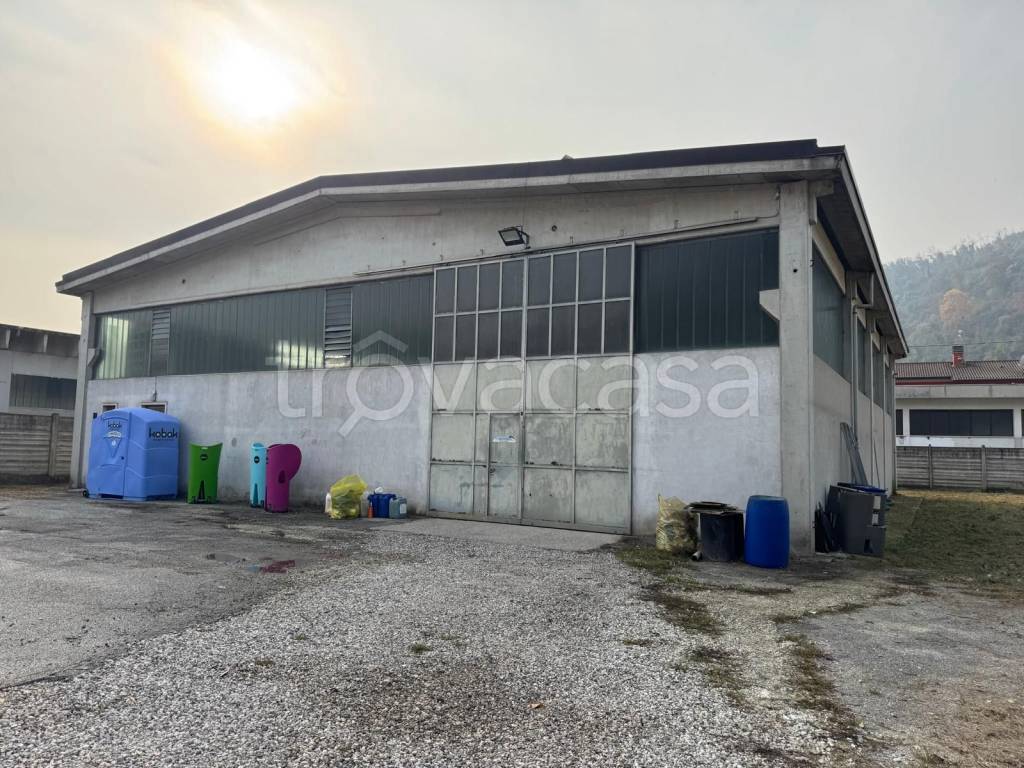 immagine annuncio 2 di 8