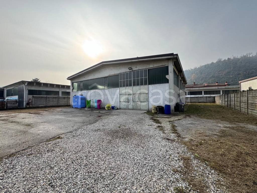 immagine annuncio 6 di 8