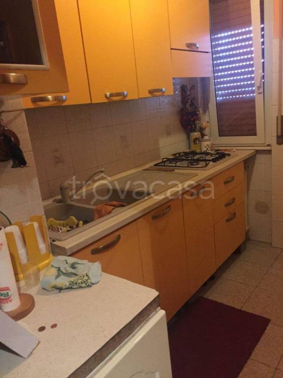 immagine annuncio 5 di 13