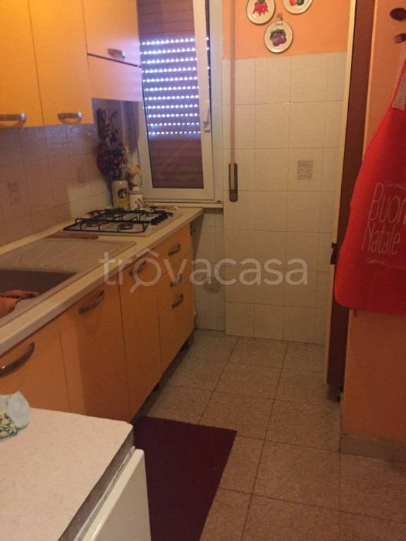 immagine annuncio 6 di 13