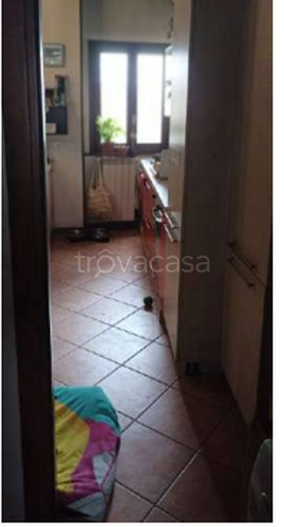 immagine annuncio 1 di 14