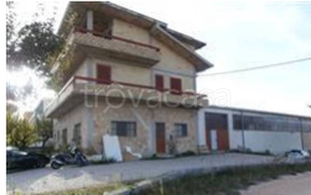 immagine annuncio 5 di 11