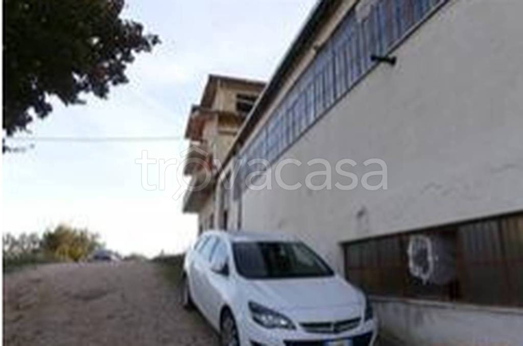 immagine annuncio 8 di 11