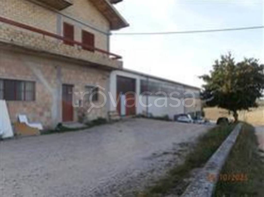 immagine annuncio 10 di 11