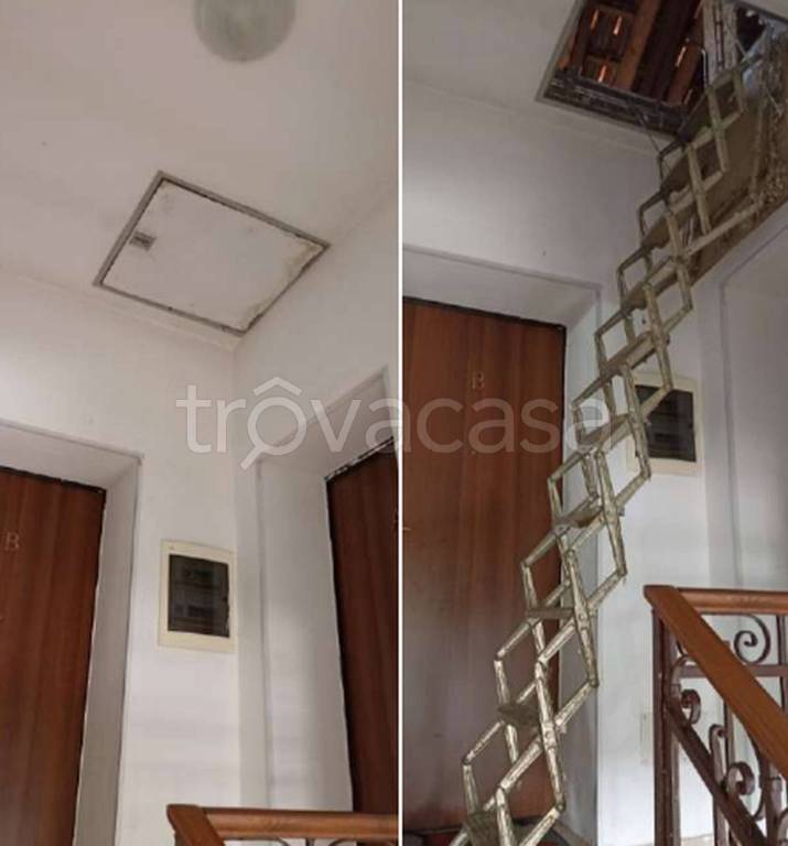 immagine annuncio 10 di 14