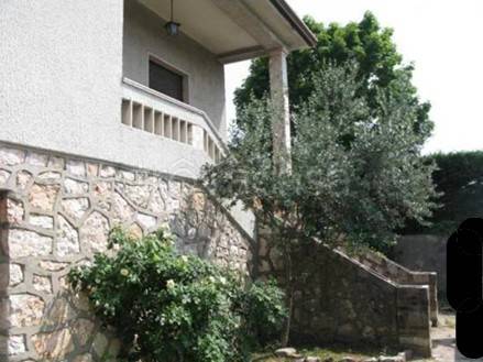 immagine annuncio 5 di 14