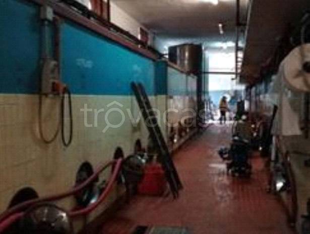 immagine annuncio 3 di 8