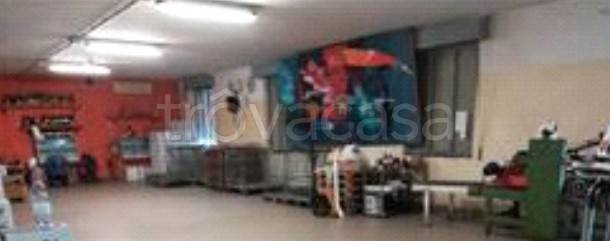 immagine annuncio 4 di 8