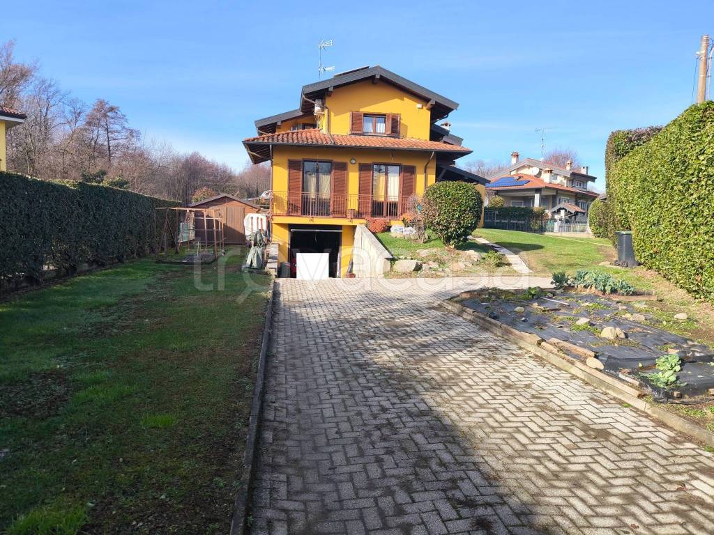 immagine annuncio 3 di 15