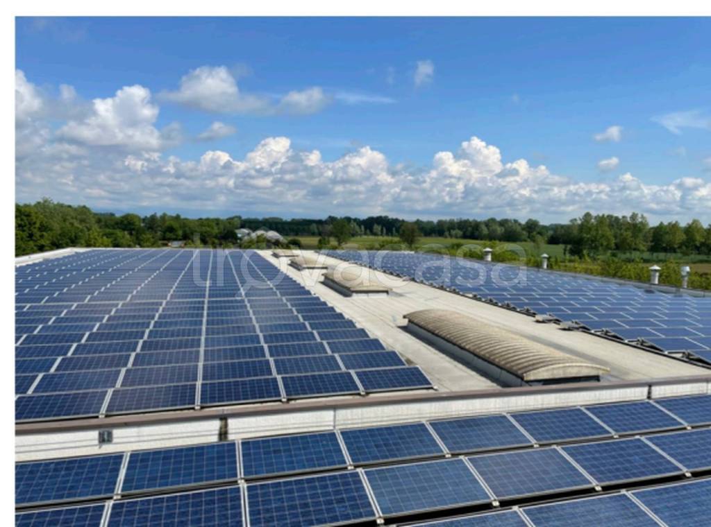 immagine annuncio 4 di 12