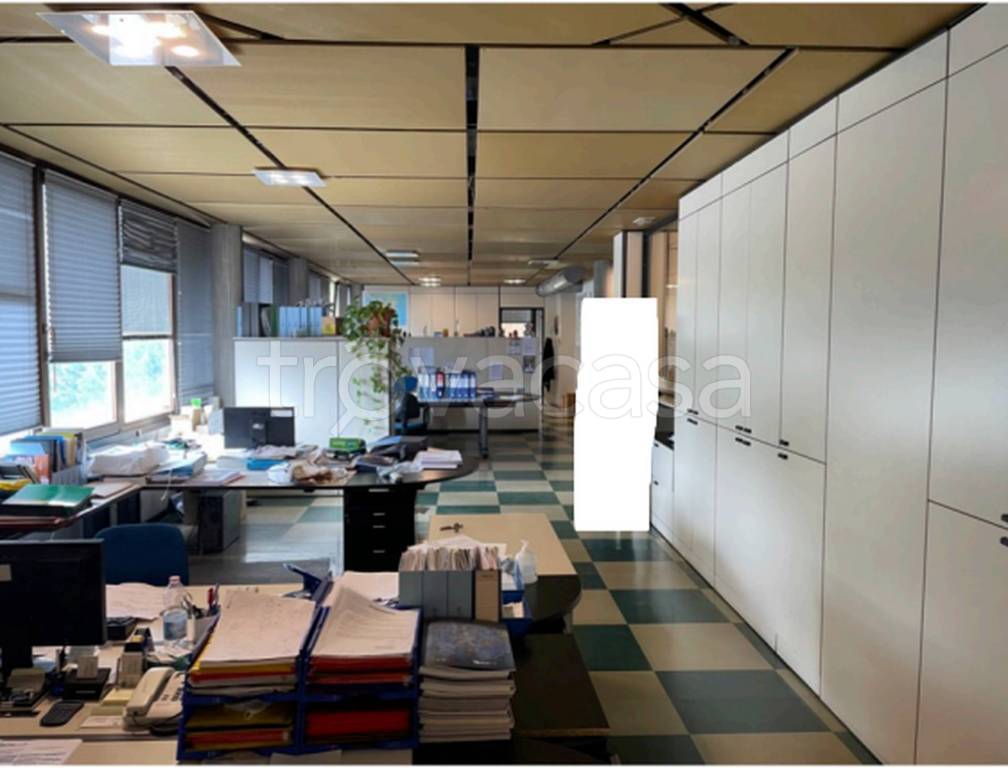 immagine annuncio 6 di 12