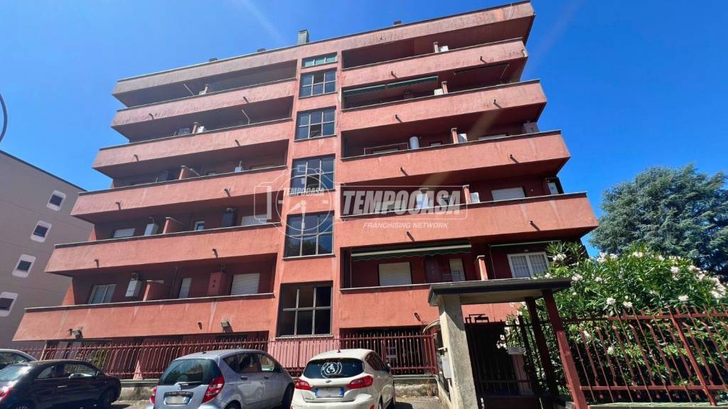 immagine annuncio 11 di 13