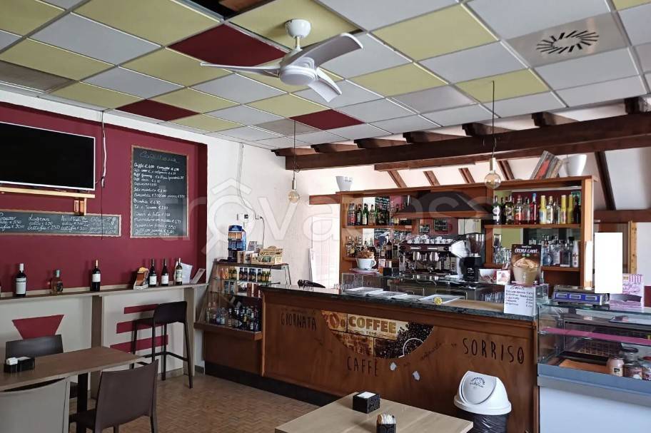 immagine annuncio 4 di 14