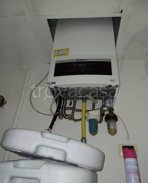 immagine annuncio 9 di 14