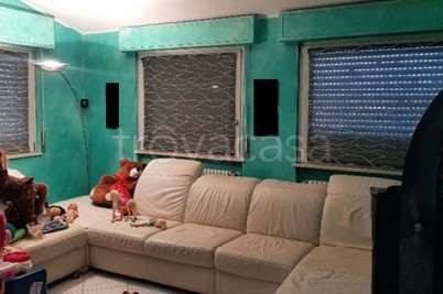 immagine annuncio 4 di 6