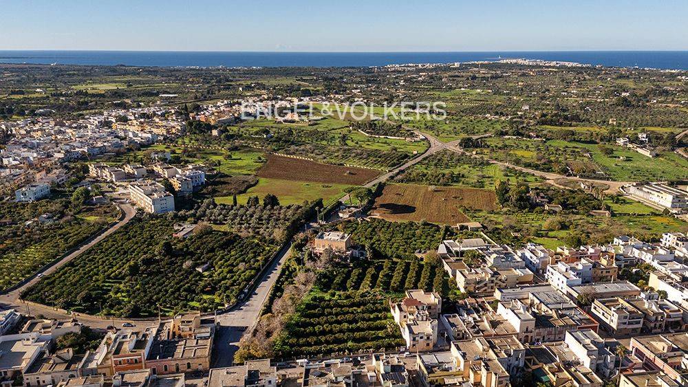 immagine annuncio 10 di 11