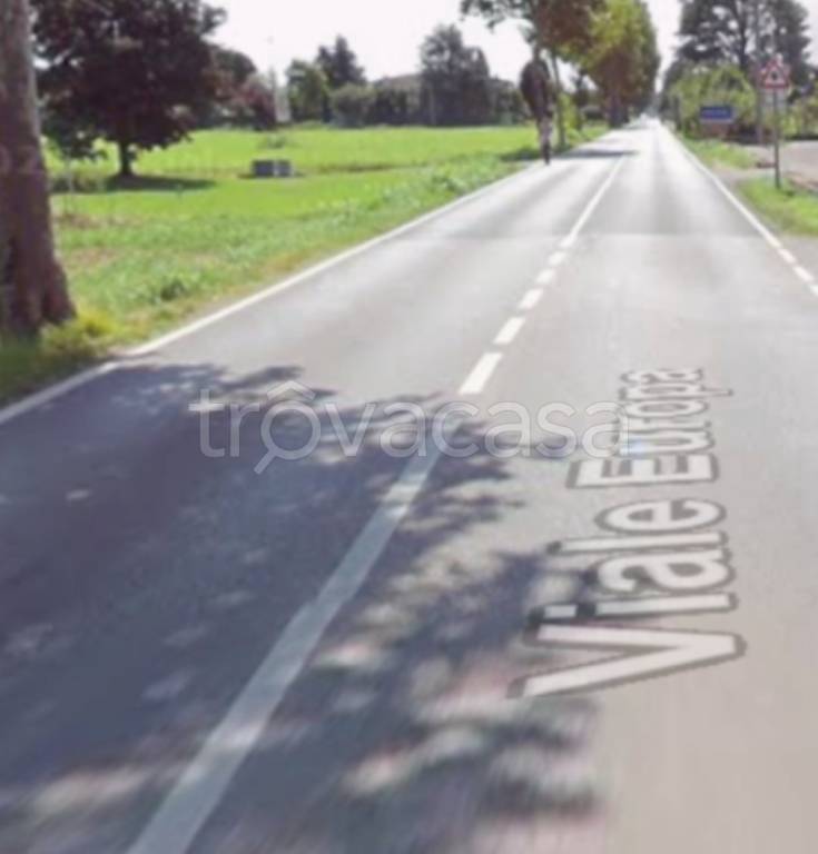 immagine annuncio 3 di 11