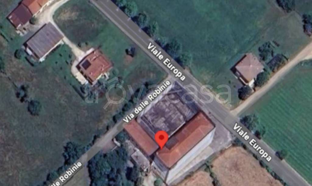 immagine annuncio 5 di 11