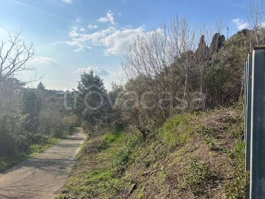 immagine annuncio 4 di 7