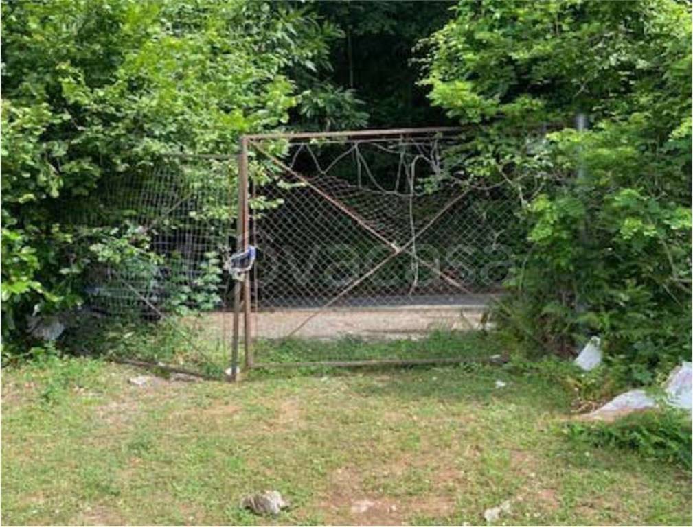 immagine annuncio 2 di 6