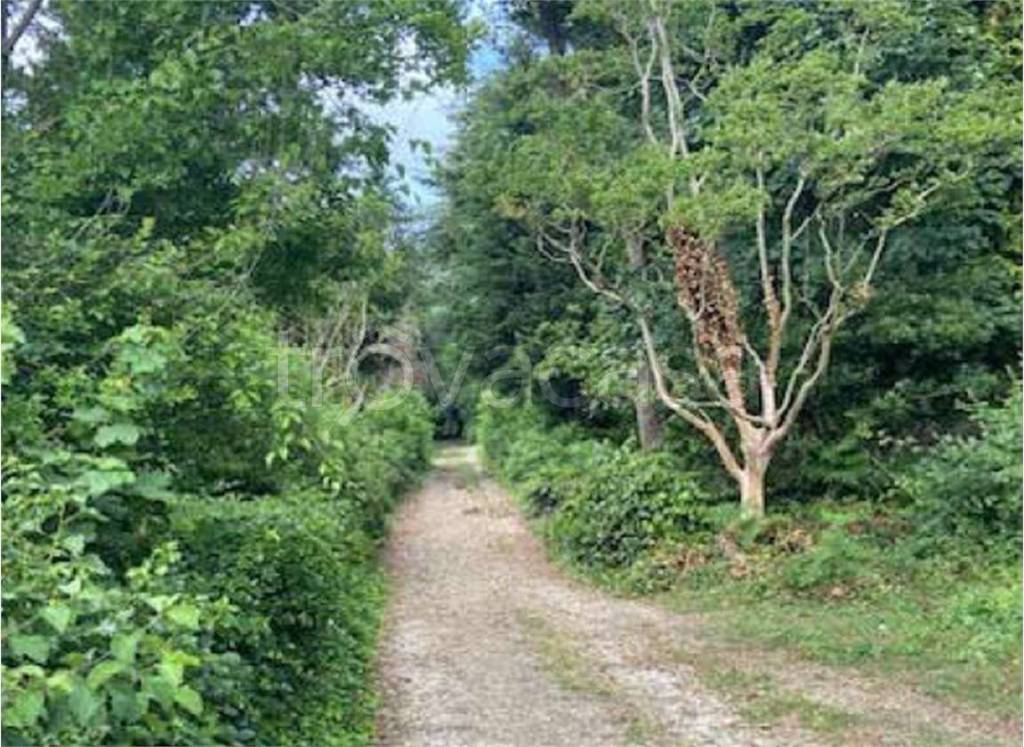 immagine annuncio 4 di 6