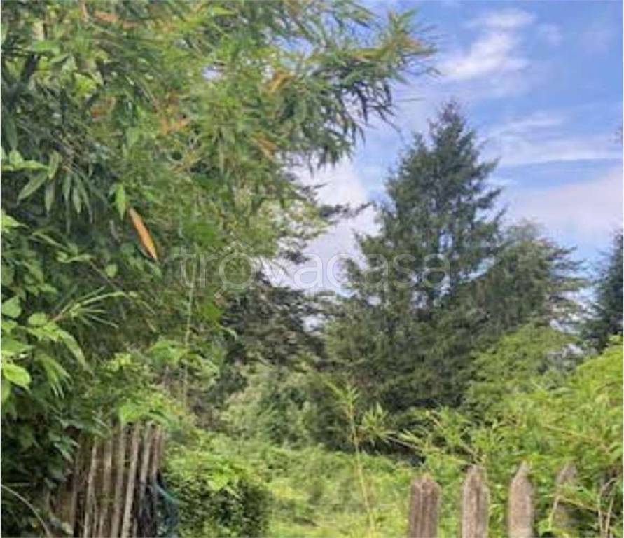 immagine annuncio 5 di 6