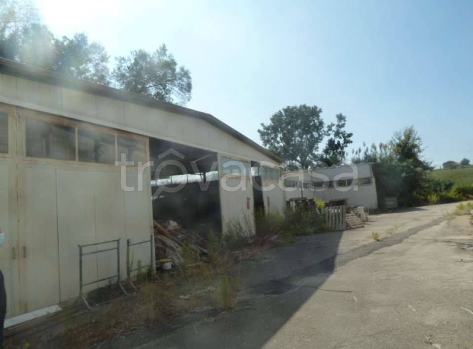 immagine annuncio 2 di 6