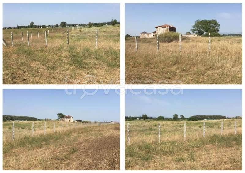 immagine annuncio 3 di 4