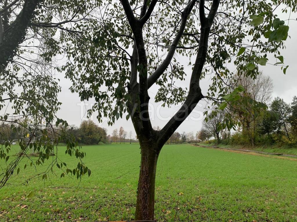 immagine annuncio 8 di 13