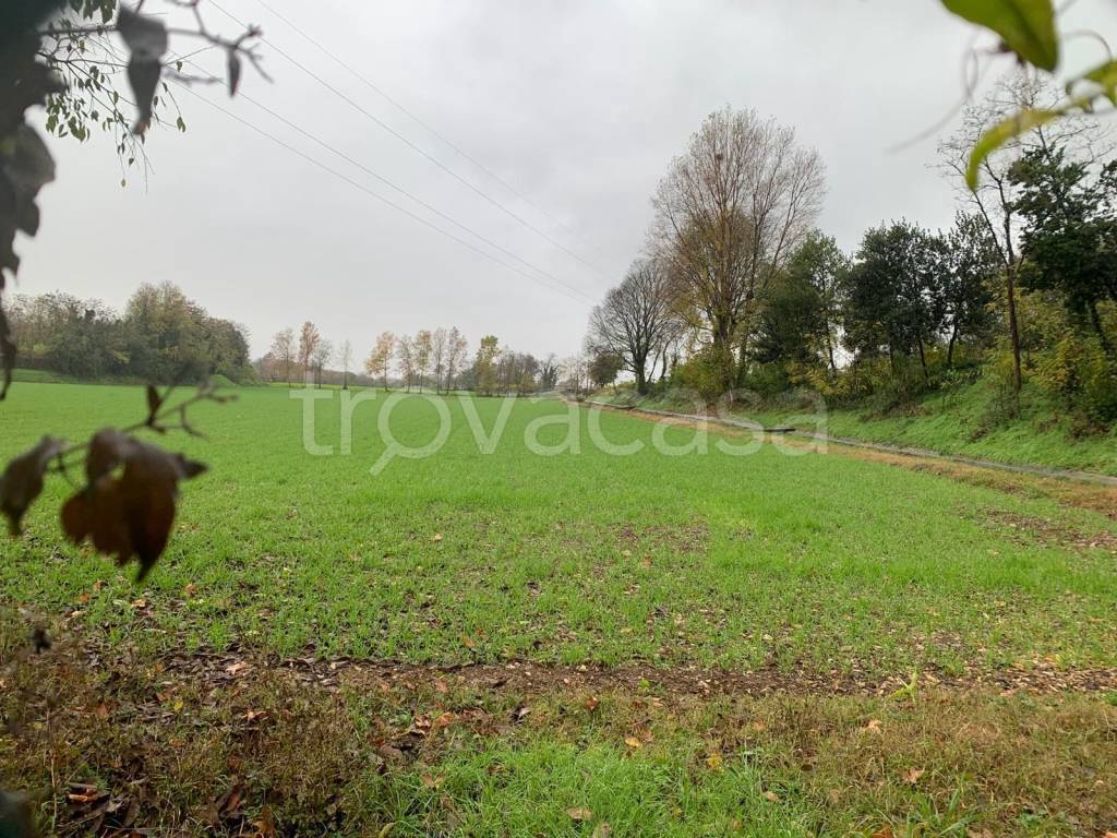 immagine annuncio 7 di 13