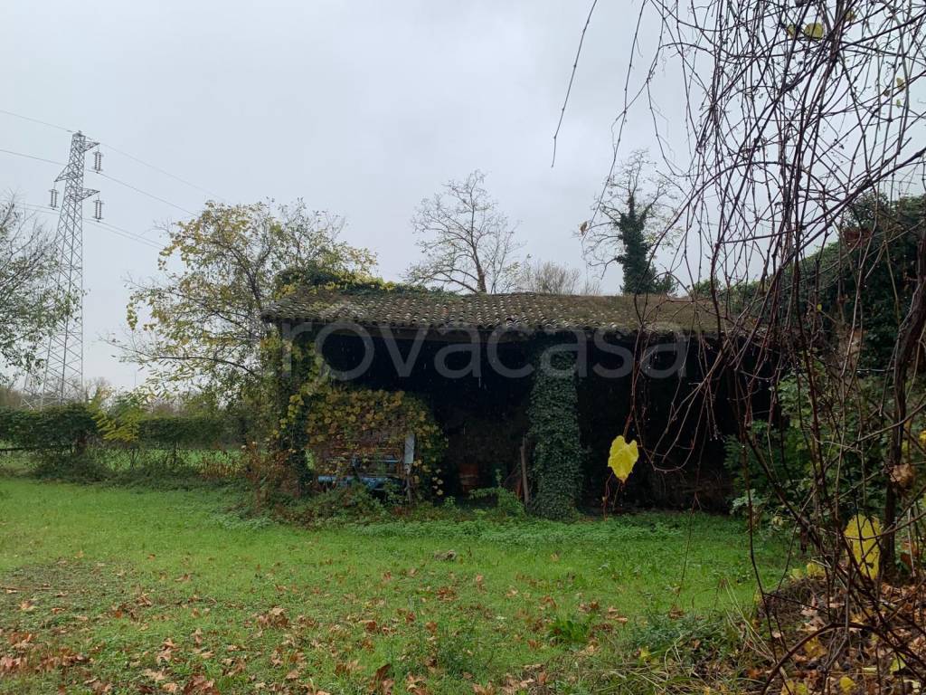 immagine annuncio 11 di 13