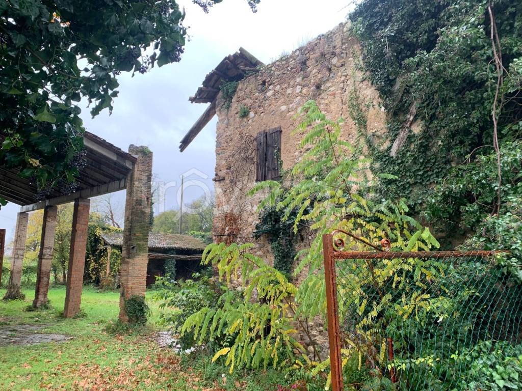 immagine annuncio 2 di 13