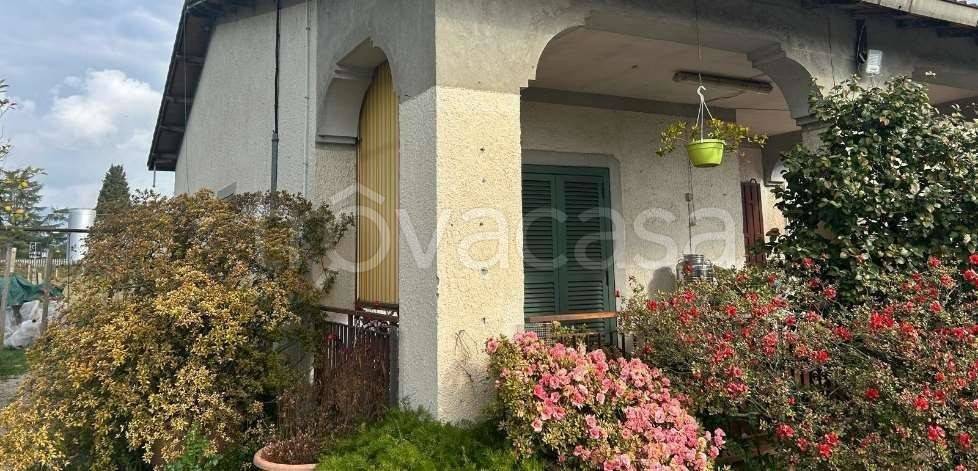 immagine annuncio 2 di 12