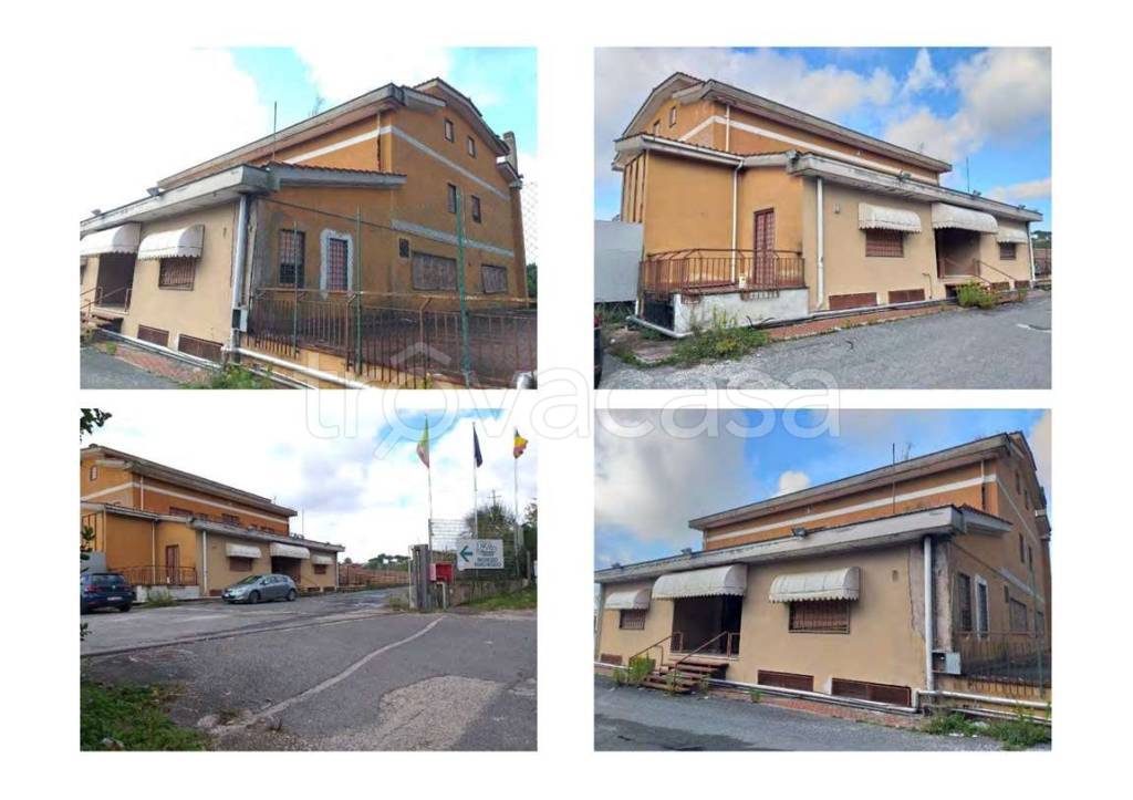 immagine annuncio 1 di 6