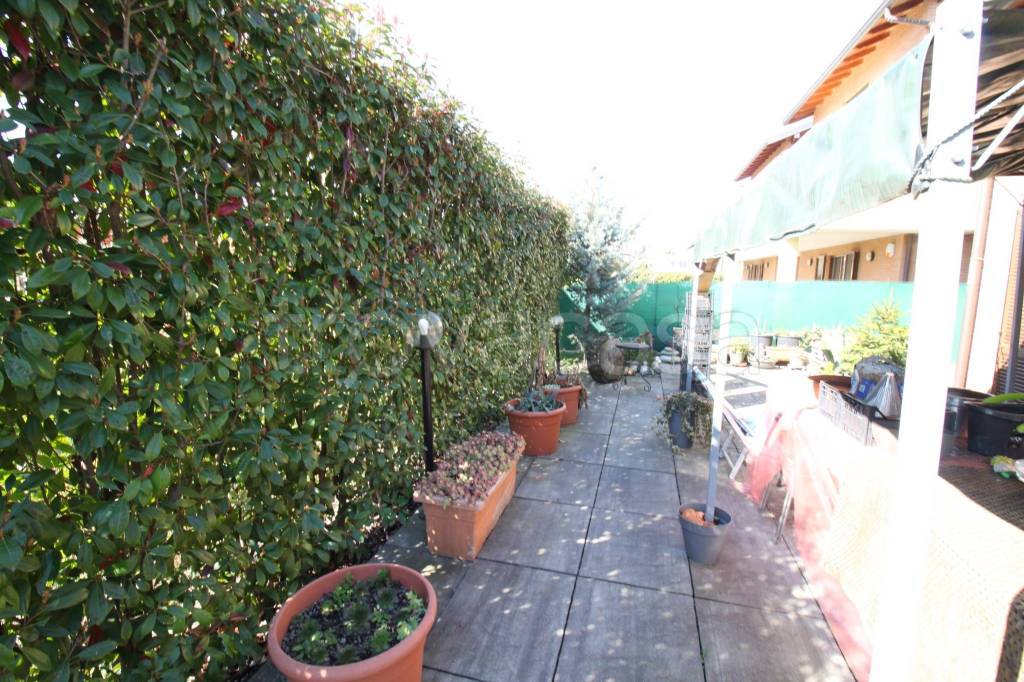 immagine annuncio 2 di 15