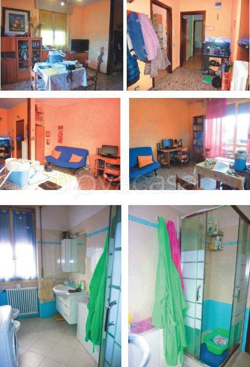 immagine annuncio 4 di 8