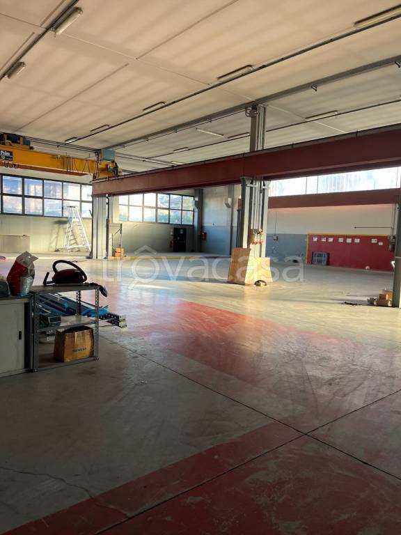 immagine annuncio 5 di 15