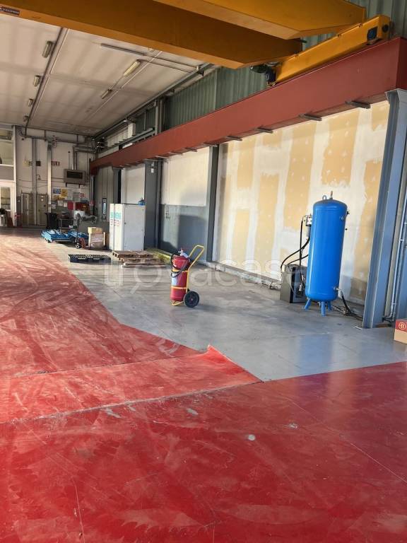 immagine annuncio 12 di 15