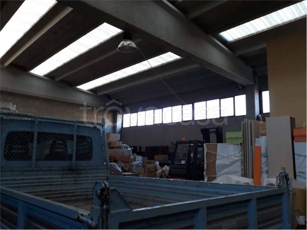 immagine annuncio 5 di 7