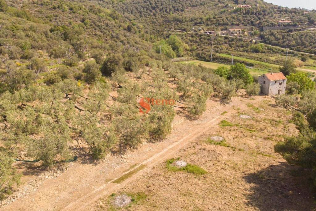 immagine annuncio 10 di 14