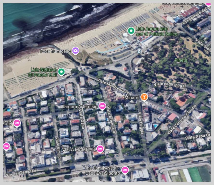 immagine annuncio 11 di 15